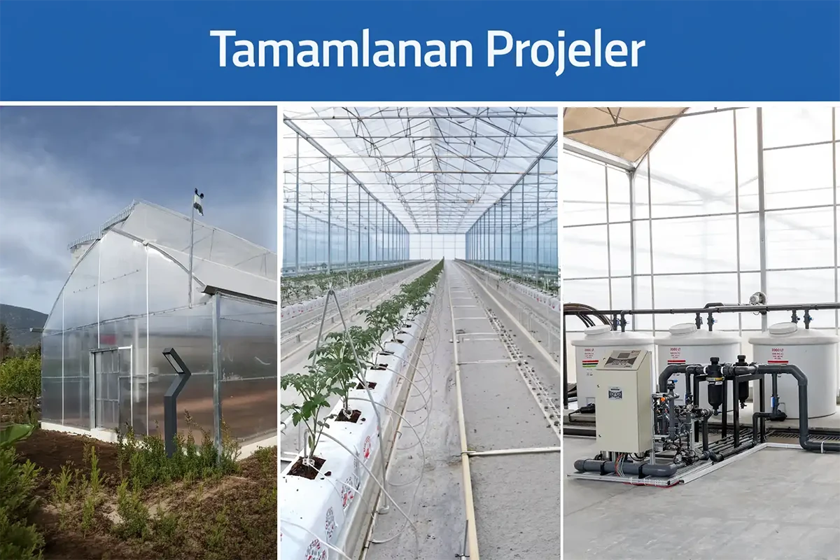 Tamamlanan Projeler
