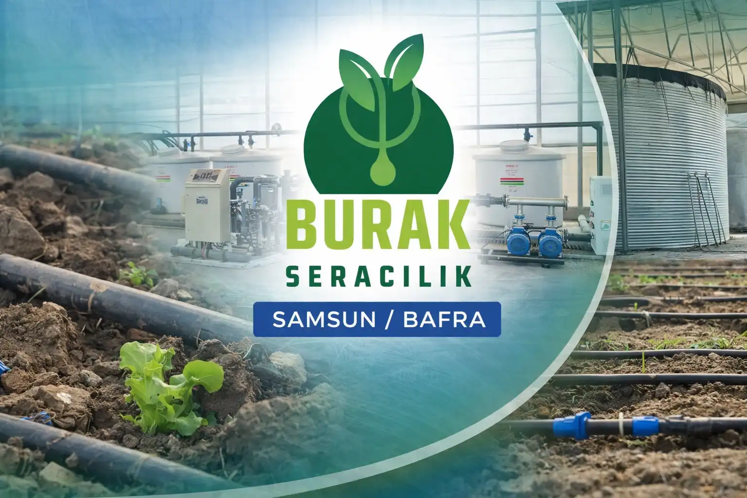 Burak Seracılık Samsun/Bafra